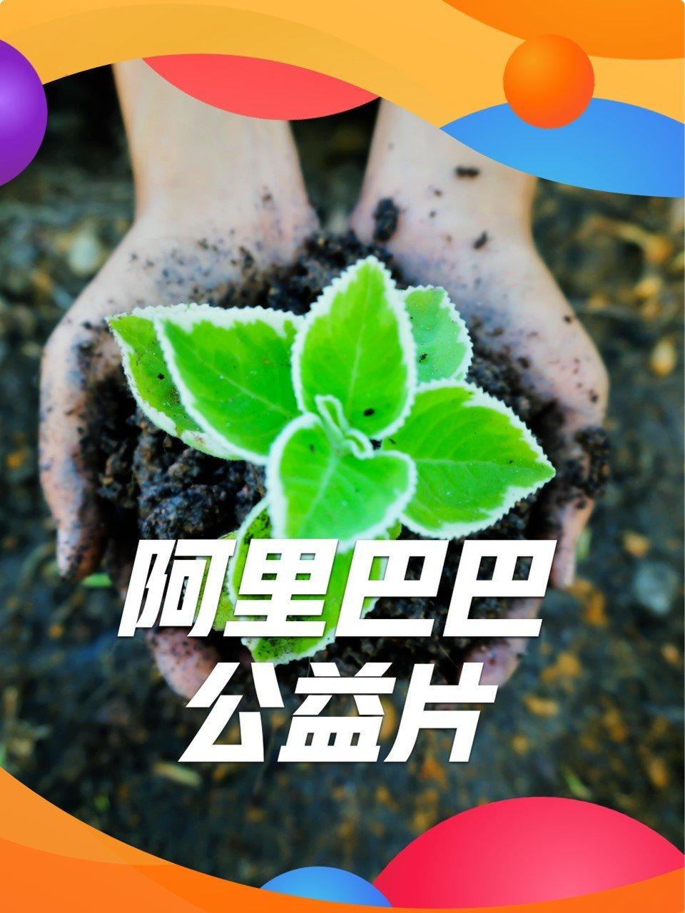 阿里巴巴公益片