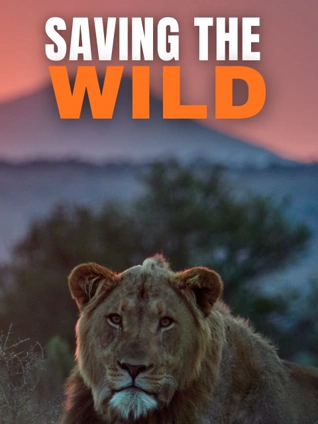 镜花风月之与鬼同眠